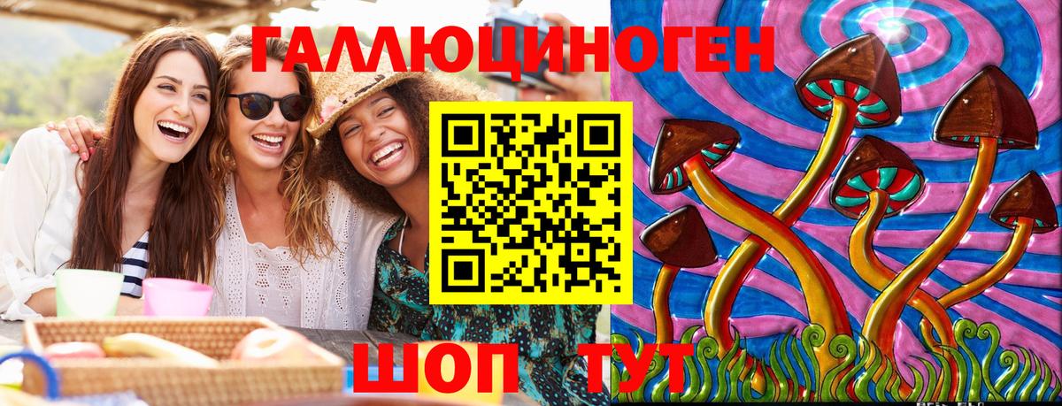 Городец  Псилоцибиновые грибы прущие грибы  Вход с VPN 